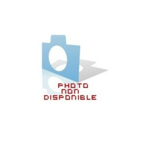 KIT BATTERIE DE SECOURS LOGIQUE E124 FAAC